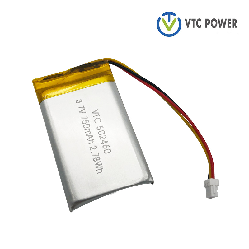 Lithium Ion Polymer Battery